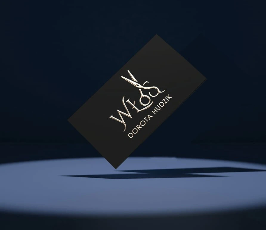 Włos — prezentacja projektu, 1