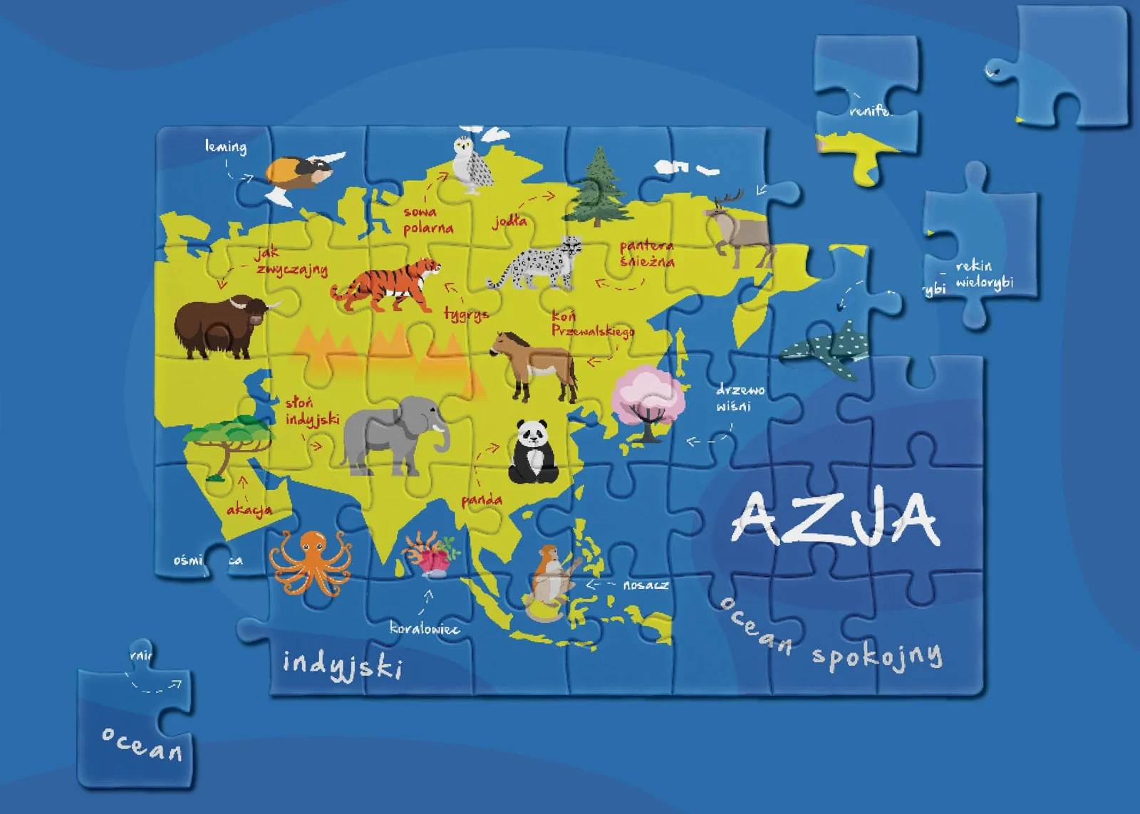 Azja w częściach — Ilustracja puzzli