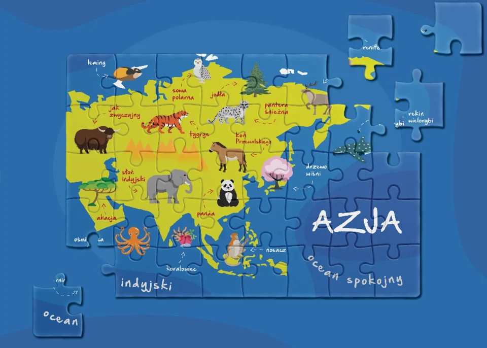 Azja w częściach — Ilustracja puzzli