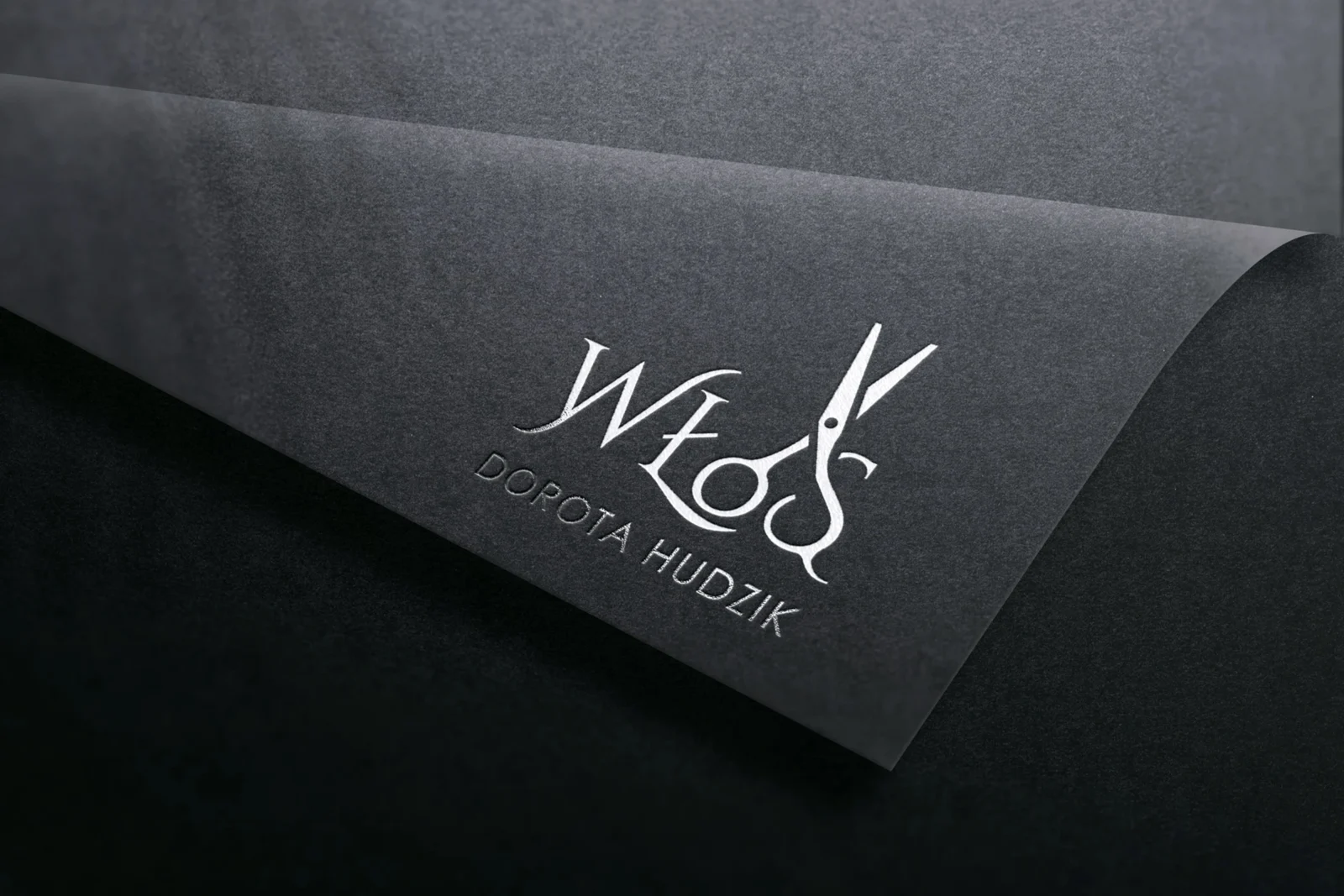 Włos — Baner, logotyp, wizytówki, vouchery