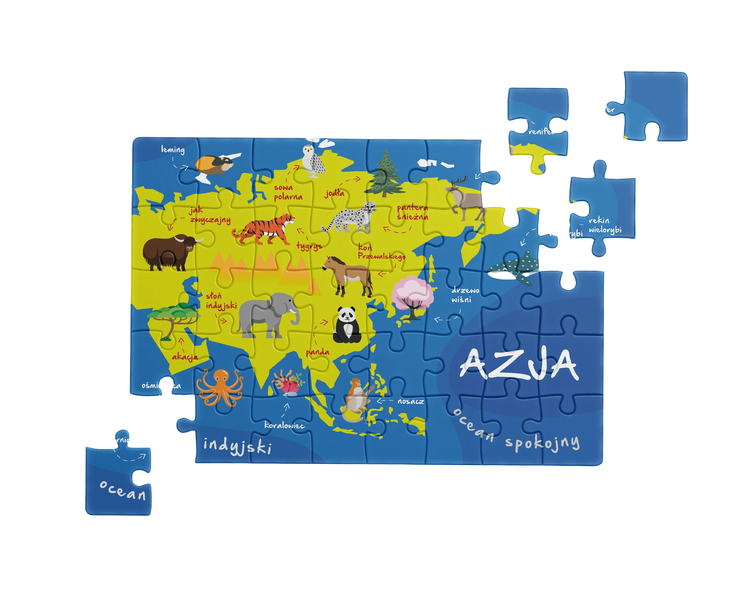 Azja w częściach — prezentacja projektu, 1